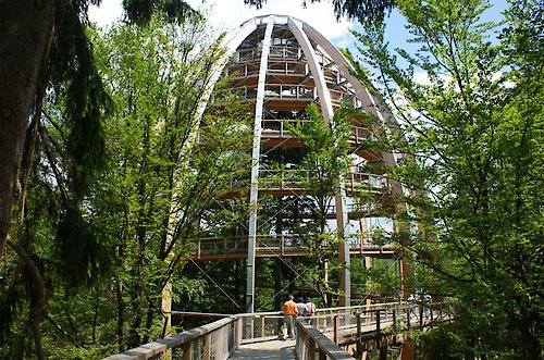 Baumei in Neuschönau - Baumwipfelpfad im Nationalpark Bayerischer Wald